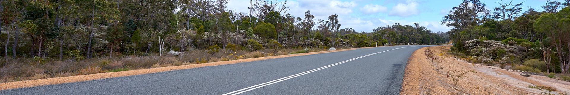 2 lane country road made of bitumen, going into the distance, double white line, scrub both sides.