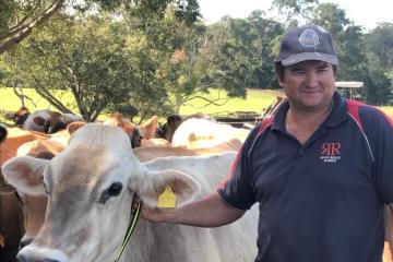 farmer leading a cow