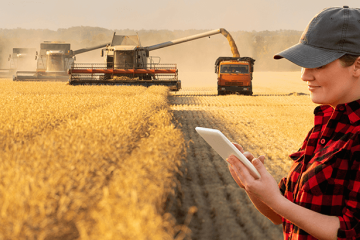 person using mobile device in harvested field