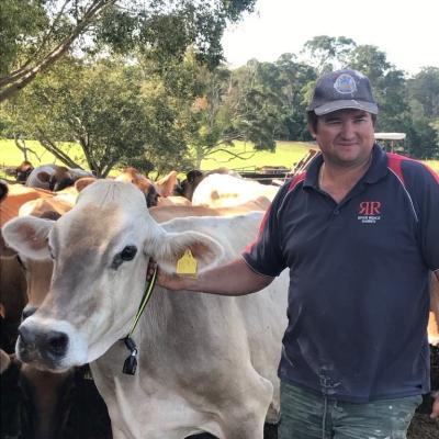 farmer leading a cow