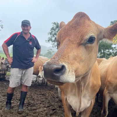 farmer stands amongst a herd of cows