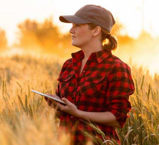 Female farmer using mobile device in wheat field.