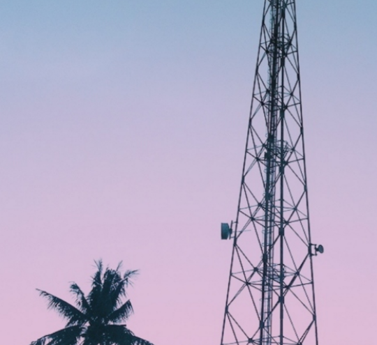 Silhouette of a telecommunications tower and palm trees against a pink and blue sky.