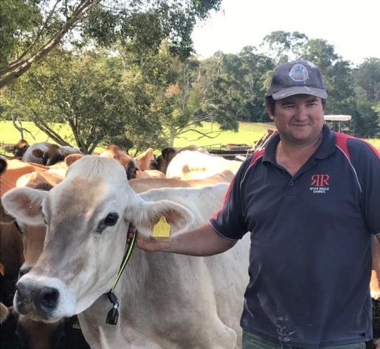 farmer leading a cow