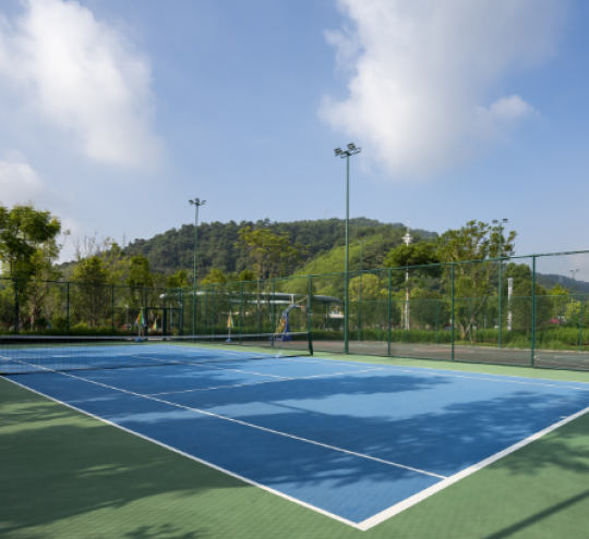 Tennis court