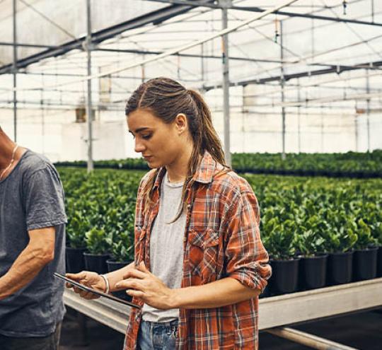 Two people in a plant nursery. One person is using a mobile device.