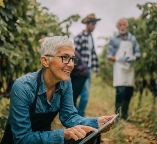 Woman with ipad in vineyard.