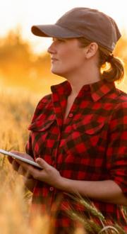 Female farmer using mobile device in wheat field.