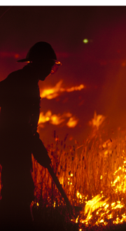 Fire fighter fighting a fire.