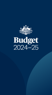 Budget 2024-25