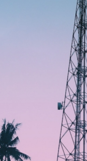 Silhouette of a telecommunications tower and palm trees against a pink and blue sky.