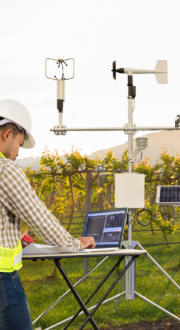 Agronomist using tablet computer to collect data with meteorological instruments in grape agricultural field.