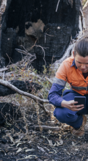 Woman in bush setting using a mobile device and laptop.