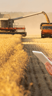 person using mobile device in harvested field