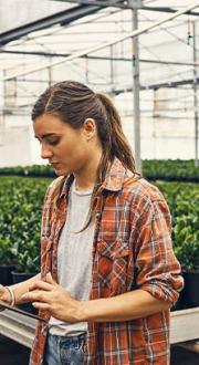 Two people in a plant nursery. One person is using a mobile device.